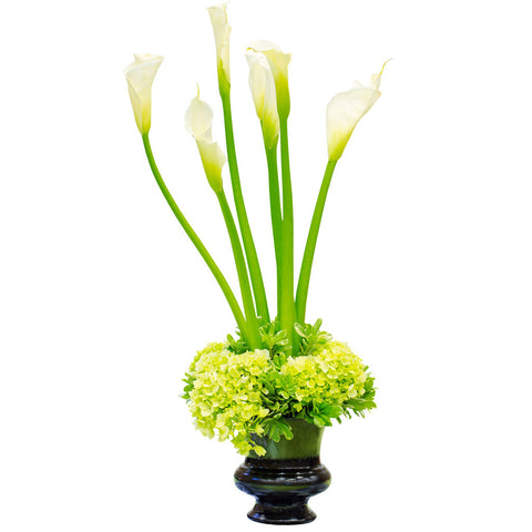FRESH GORGEOUS CALLAS WHITE 70+ stems ($1.33 to $1.38 per stem)